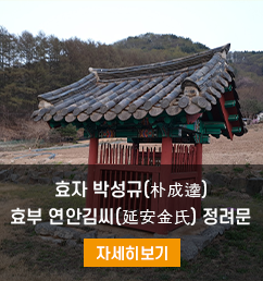 효자 박성규와 효부 연안김씨 정려문 이미지