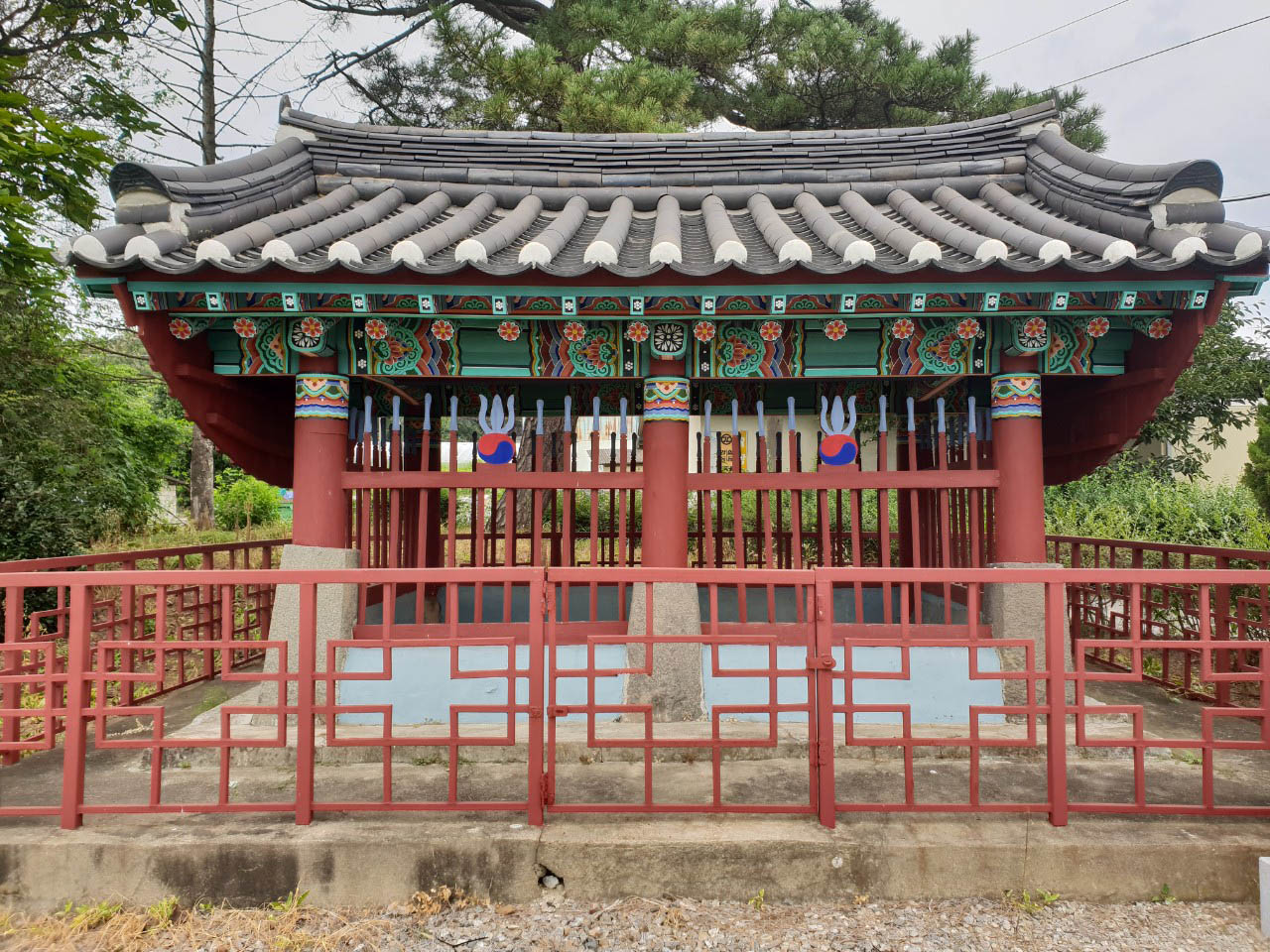  이미지