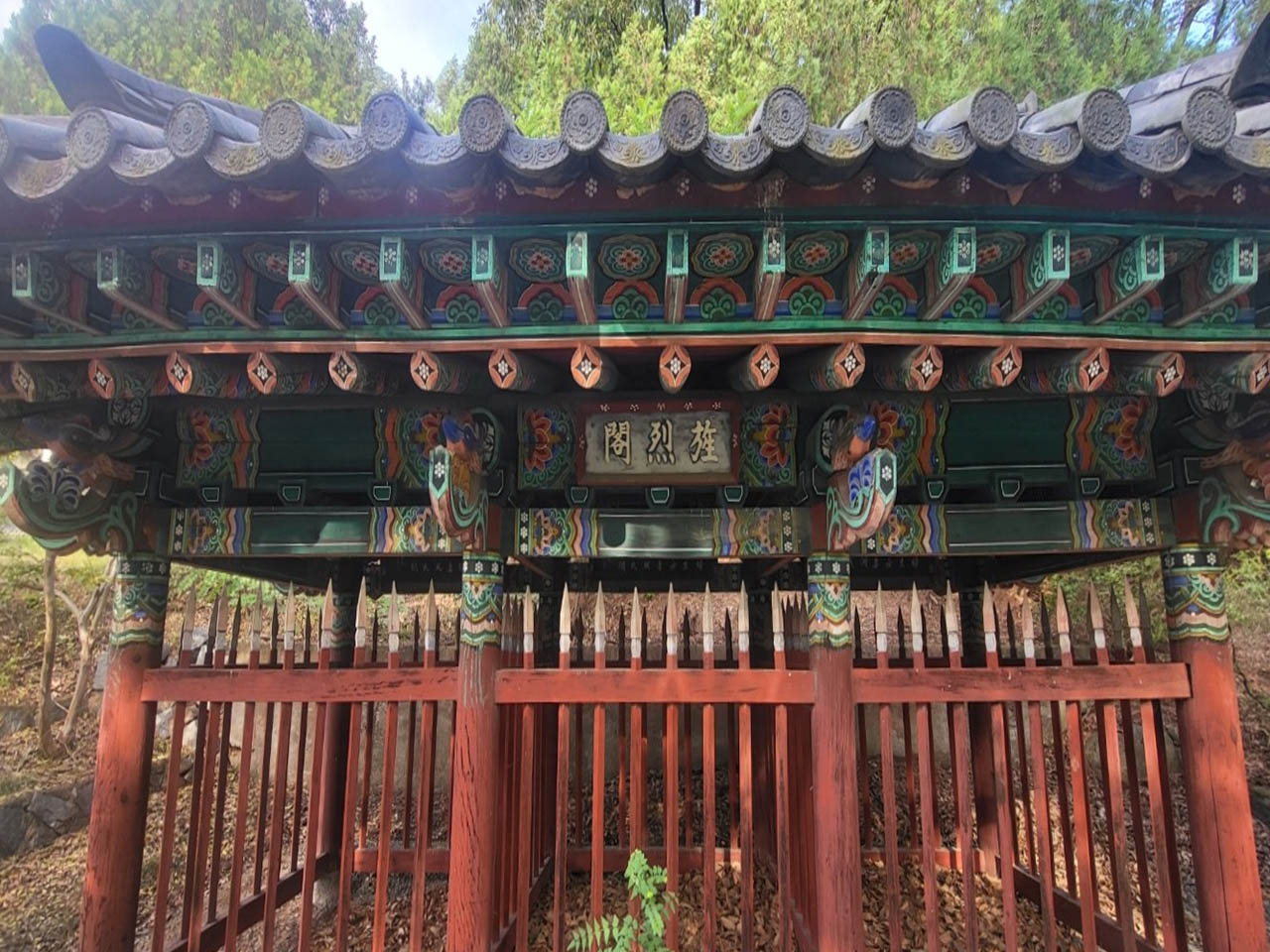  이미지